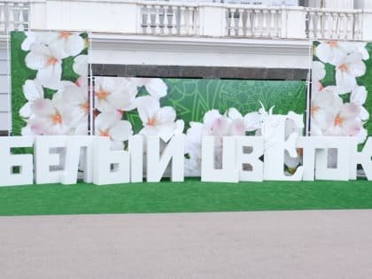 Праздник благотворительности пройдет в Хабаровске