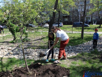 Хабаровск присоединился к акции «Посади ребенку дерево»