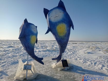 «Рыбокотики» приплыли к берегам Амура в Хабаровске