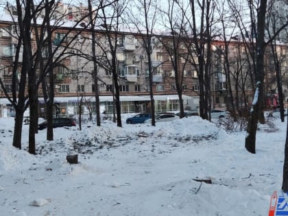 Около десятка старых насаждений убрали на Амурском бульваре в Хабаровске