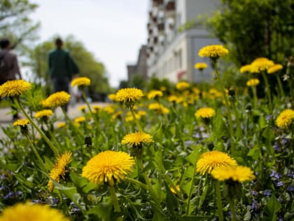 В Хабаровском крае на предстоящей неделе ожидается понижение температур