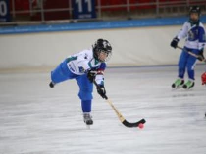 Краевой центр развития хоккея с мячом стал одной из лучших спортшкол в России