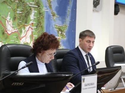 В краевом парламенте обсудили программу газификации - Законодательная Дума Хабаровского края