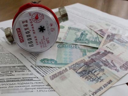 ФАС добилась снижения цены замены газовых счётчиков в Хабаровском крае