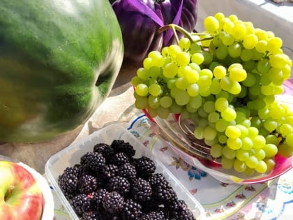 Садоводческие некоммерческие товарищества города получили субсидии