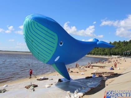 Огромного кита запустили на набережной Хабаровска