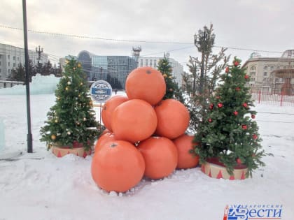 Пятница в Хабаровске будет солнечной