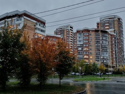 Пока вы спали: Путин о курятине, супердедушка с "Окой", "Икона стиля" в 70, обрушился мост