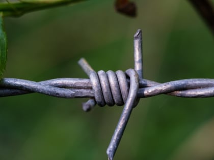 Приверженца террористической организации осудили в Хабаровске