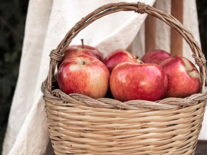 Новый житель из Приморского края