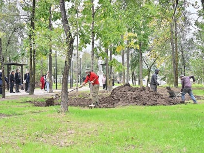 Обновление Сквера ТЭЦ-1 в Хабаровске: новые деревья и зоны отдыха