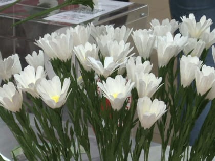 Акция «Белая ромашка» прошла в Хабаровске