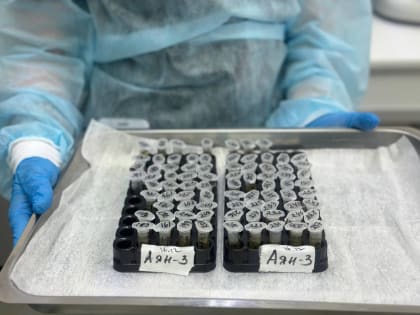 В Хабаровском крае впервые в России на гепатит проверят всех жителей муниципалитета