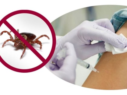 Самым эффективным методом профилактики клещевого энцефалита была и остается вакцинация