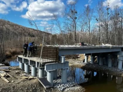 Хабаровский край примет участие в 12 национальных проектах в 2024 году