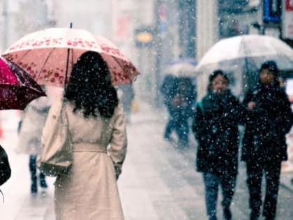 Хабаровский край готовится к циклону с дождем и снегом