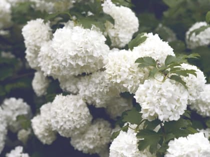 В выходные в Хабаровском крае на погодном фронте без перемен