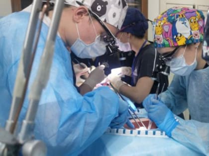 В ДВГМУ увеличили вложения в цифровизацию образования