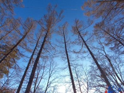 Какие изменения ждут россиян в марте