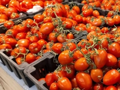 Что почём: цены на овощи в Хабаровске сохраняют стабильность