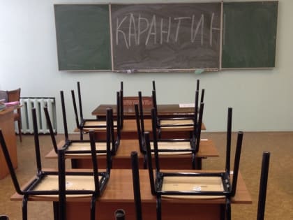 13 групп в 10 детсадах и 10 классов в 7 школах Хабаровска на карантине