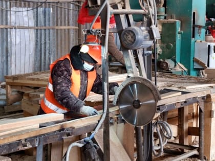 Лесную отрасль Хабаровского края поддержат дополнительно