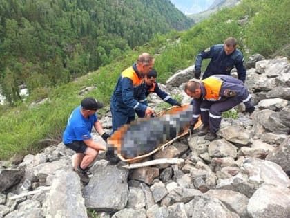 25-летняя туристка из Хабаровска погибла в Горном Алтае