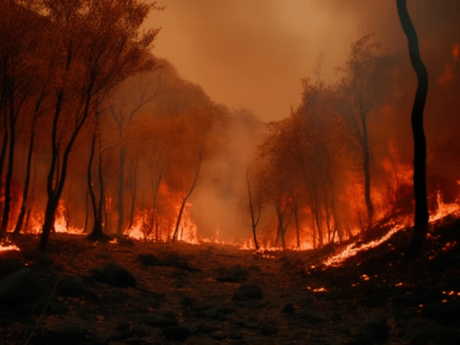 Площадь лесных пожаров в Хабаровском крае превысила 15,3 тысяч га