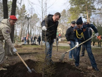 Михаил Дегтярев в Хабаровске дал старт акции «Сад Памяти»