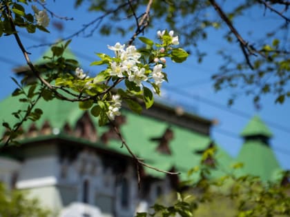 Хабаровский край оказался во власти холодного циклона