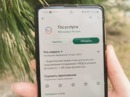 Все больше жителей Хабаровского края записываются к врачу через Госуслуги