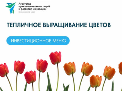 Тюльпаны, розы и хризантемы: новое инвестиционное предложение подготовило АПИРИ