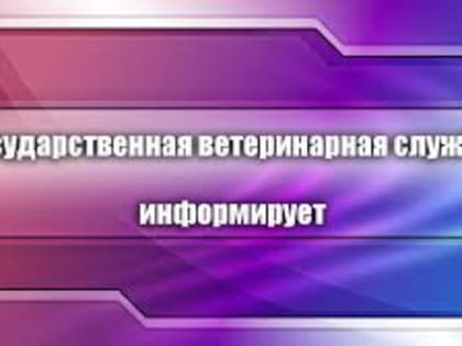 Госветслужба напоминает о мерах предосторожности возникновения в Комсомольске губкообразной энцефалопатии крупного рогатого скота