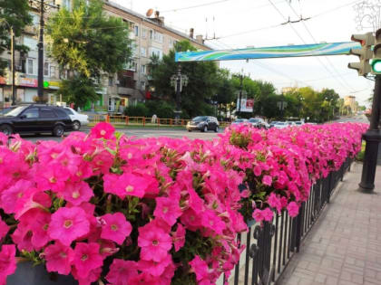 Пока вы спали: крушение самолета с Пригожиным, сброс с Фукусимы, признание Зеленского