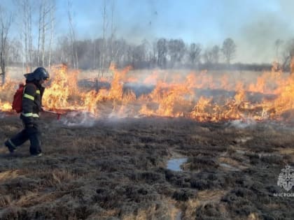 Число палов сухой травы в Хабаровском крае выросло до 30 в сутки