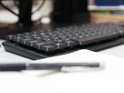 Итоги дня: Бикин без воды, тигр отдыхает у дороги, мороз крепчает и "фотосессия" вепря