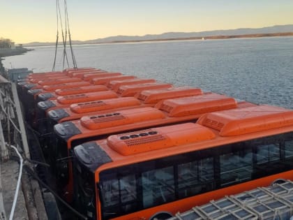 Хабаровск усиливает экологичность общественного транспорта