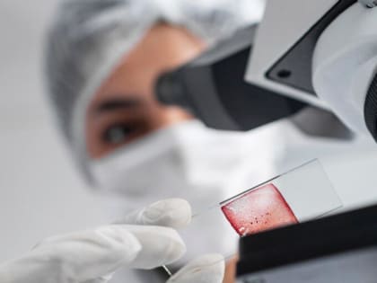 В Хабаровском крае стартует клиническое исследование риккетсиозов – группы инфекционных заболеваний, специфическими переносчиками которых являются клещи