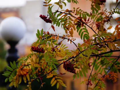 Дождями простится с хабаровчанами уходящее тепло