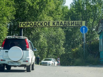 Из-за семьи медведей закрыли кладбище в Комсомольске-на-Амуре