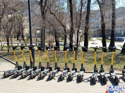 Работу шеринговых компаний в новых условиях обсудили в Хабаровске