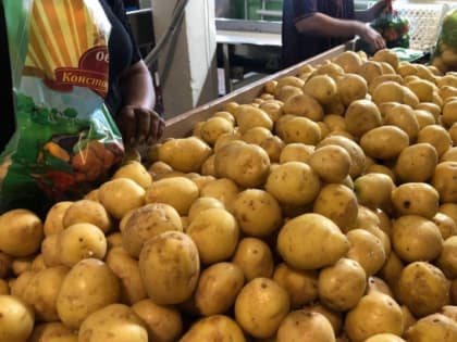 Хабаровский край очень нуждается в современных овощехранилищах