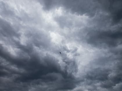 Аномально высокие температуры продолжают удивлять Россию