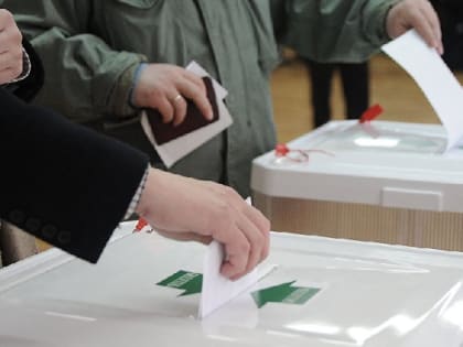 Предварительное голосование на дополнительных выборах депутата Госдумы пройдет в Хабаровском крае