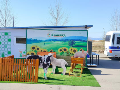 Чёрные грузди и капуста: в Хабаровске открылась ярмарка-2023