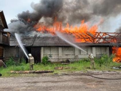 В Хабаровском крае на площади 2000 кв метров горит лесопилка