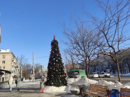 Хабаровчан ждут солнечные и теплые выходные