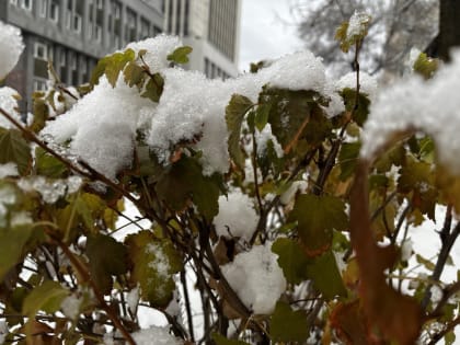 В Хабаровске в выходные ожидаются снег и сильные морозы