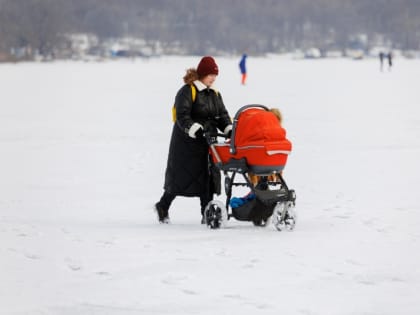 Пишите заявление: в Совфеде сказали семьям о выплате сразу двух пособий вместо одного