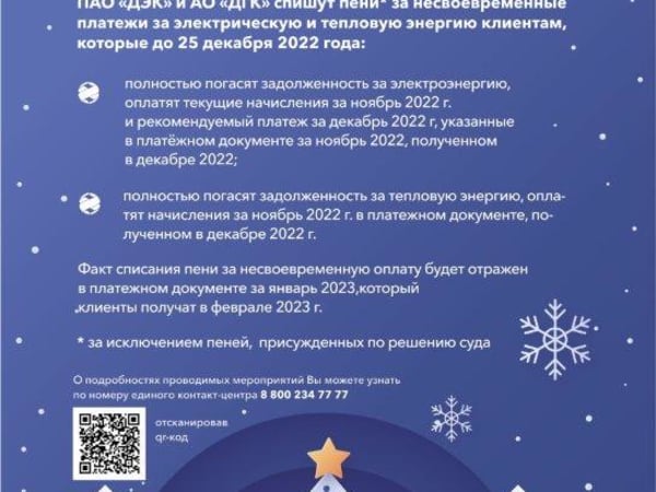 Встретить новый год без долгов предлагают энергетики жителям Хабаровского края
